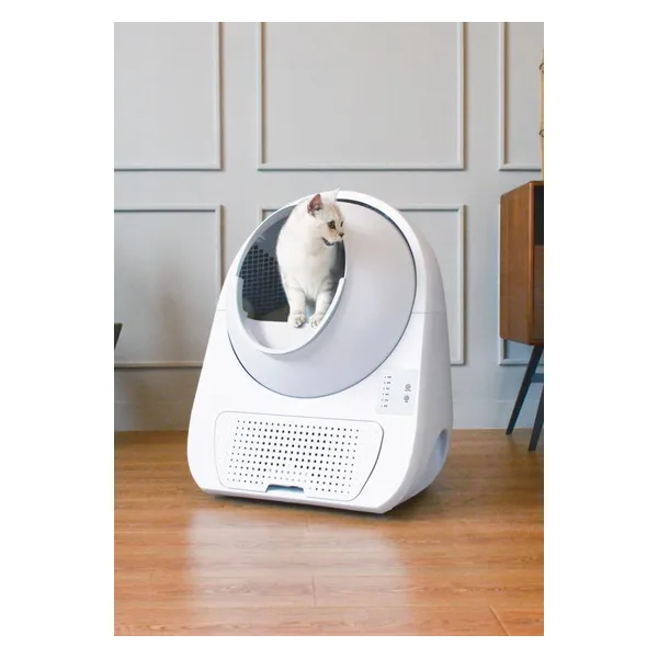Catlink Scooper Young